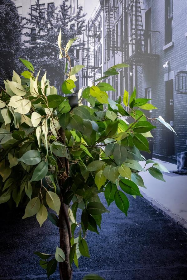 Superbe Appartement Avec Patio Nîmes Zewnętrze zdjęcie